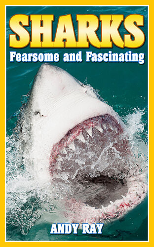 Sharks Fearsome And Fascinating Andy Ray