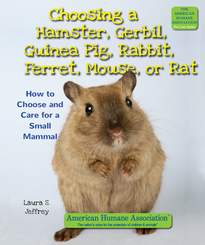 Choosing A Hamster Gerbil Guinea Pig Rabbit Ferret Mouse Or Rat How To Choose And Care For A Small Mammal Laura S Jeffrey