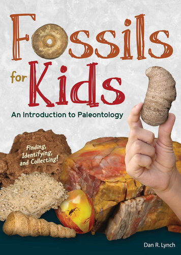 Fossils For Kids Dan R Lynch