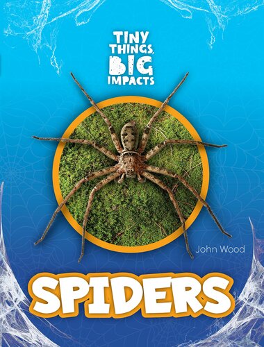 Spiders John Wood