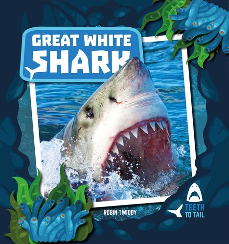 Great White Shark Robin Twiddy