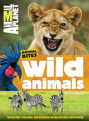 Wild Animals Animal Planet