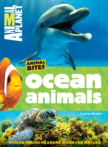 Ocean Animals Animal Planet Laaren Brown