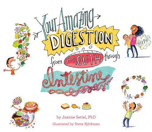 Your Amazing Digestion From Mouth Through Intestine Joanne Settel