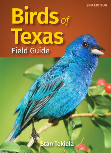 Birds Of Texas Field Guide 2nd Edition Stan Tekiela