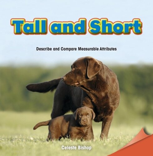 Tall And Short Describe And Compare Measurable Attributes Celeste Bishop