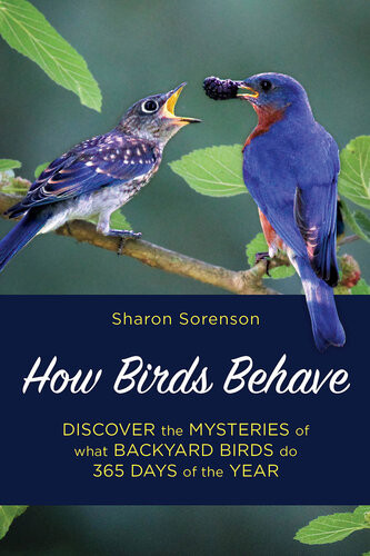 How Birds Behave Sharon Sorenson