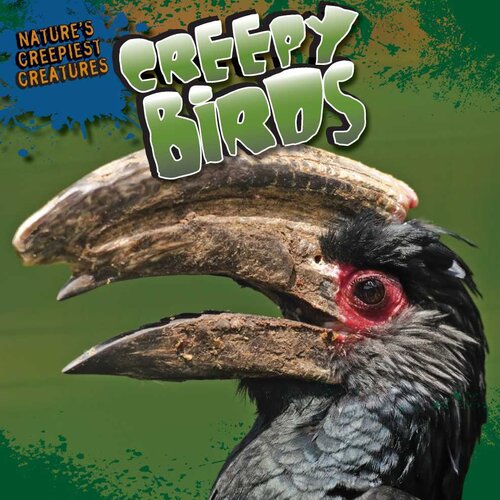 Creepy Birds Nicole Shea