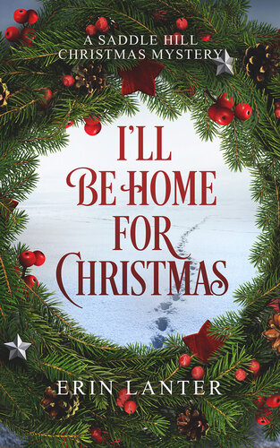 Ill Be Home For Christmas Erin Lanter