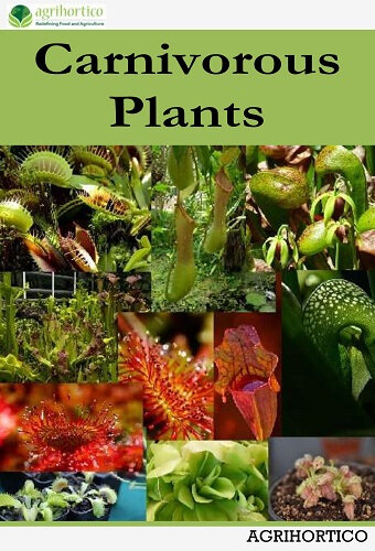 Carnivorous Plants Agrihortico