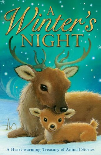 A Winters Night Various