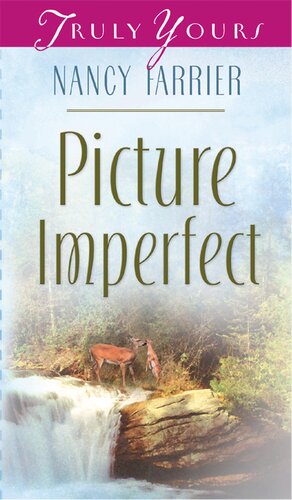 Picture Imperfect Nancy J Farrier