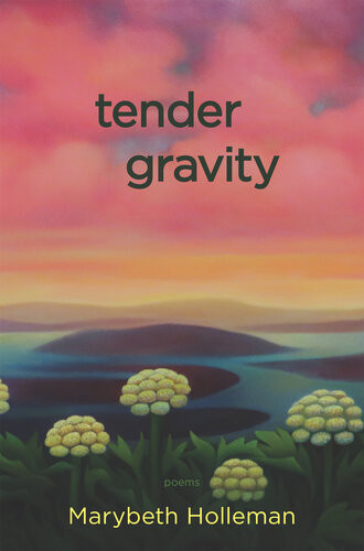 Tender Gravity Marybeth Holleman