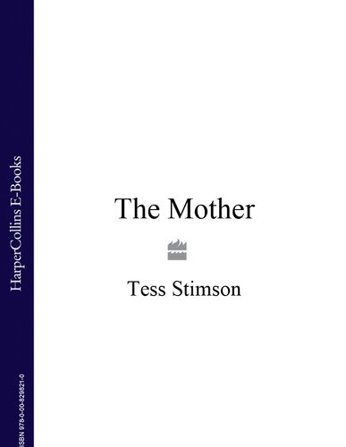 A Mothers Secret T J Stimson