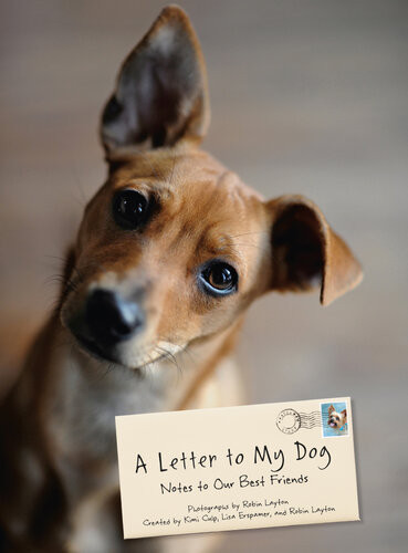 A Letter To My Dog Kimi Culp Lisa Erspamer