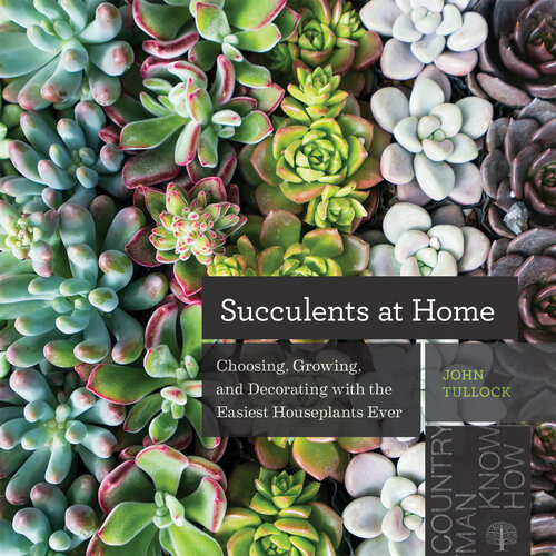 Succulents At Home Choosing Growing And Decorating With The Easiest Houseplants Ever John Tullock