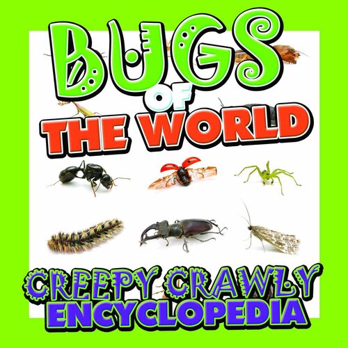 Bugs Of The World Creepy Crawly Encyclopedia Speedy Publishing