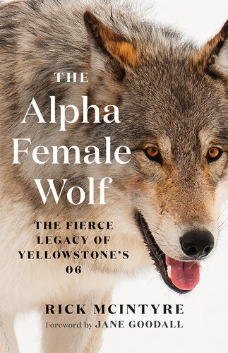 The Alpha Female Wolf Rick Mcintyre