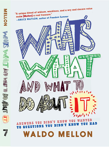 Whats What And What To Do About It Waldo Mellon