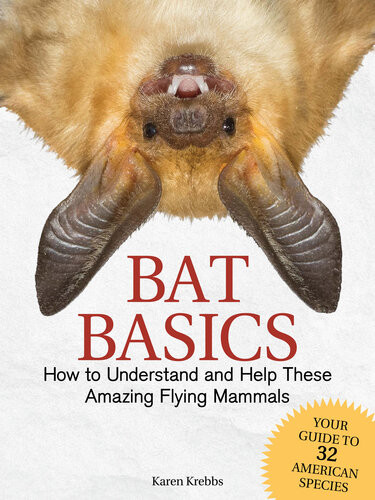 Bat Basics How To Understand And Help These Amazing Flying Mammals Karen Krebbs