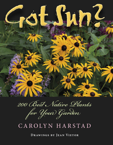 Got Sun 200 Best Native Plants For Your Garden Carolyn Harstad