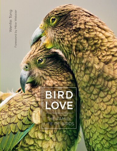 Bird Love The Family Life Of Birds 2020th Edition Wenfei Tong