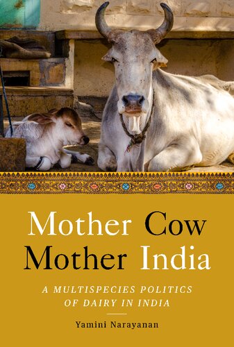 Mother Cow Mother India A Multispecies Politics Of Dairy In India South Asia In Motion 1st Edition Yamini Narayanan