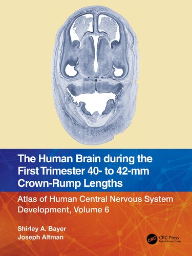 The Human Brain During The First Trimester 40 To 42mm Crownrump Lengths Atlas Of Human Central Nervous System Development 1st Edition Shirley A Bayer