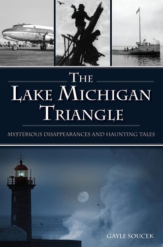 The Lake Michigan Triangle Gayle Soucek