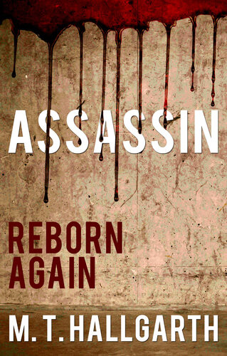 Assassin Reborn Again M T Hallgarth