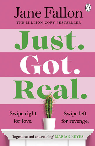 Just Got Real The Hilarious And Addictive Bestselling Revenge Comedy Jane Fallon