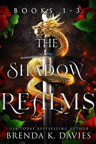 The Shadow Realms Box Set Books 13 Brenda K Davies