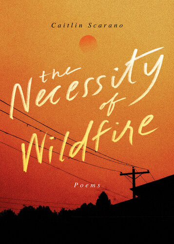 The Necessity Of Wildfire Caitlin Scarano
