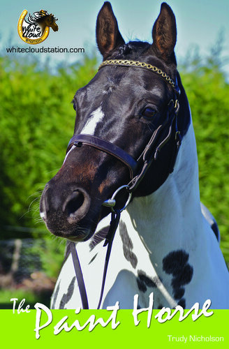 The Paint Horse Trudy Nicholson
