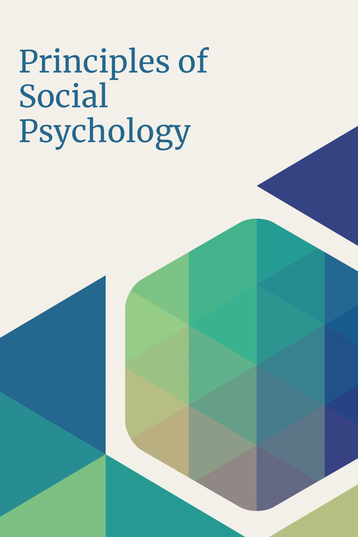 Principles Of Social Psychology Unknown