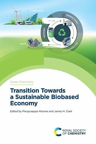 Transition Towards A Sustainable Biobased Economy Morone P Clark Jh Ed