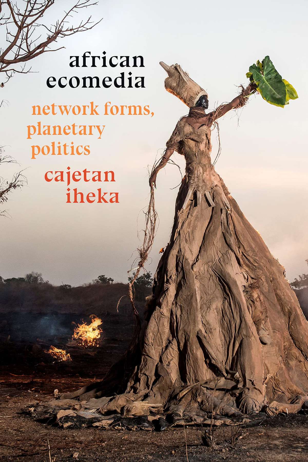 African Ecomedia Network Forms Planetary Politics 1st Edition Cajetan Iheka