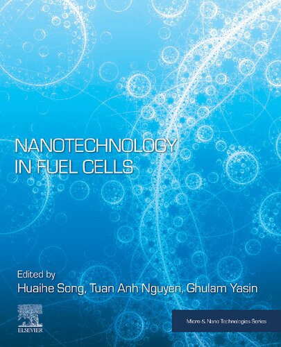 Nanotechnology In Fuel Cells Huaihe Song Tuan Anh Nguyen Ghulam Yasin