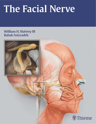 The Facial Nerve Illustrated William H Slattery Iii Babak Azizzadeh