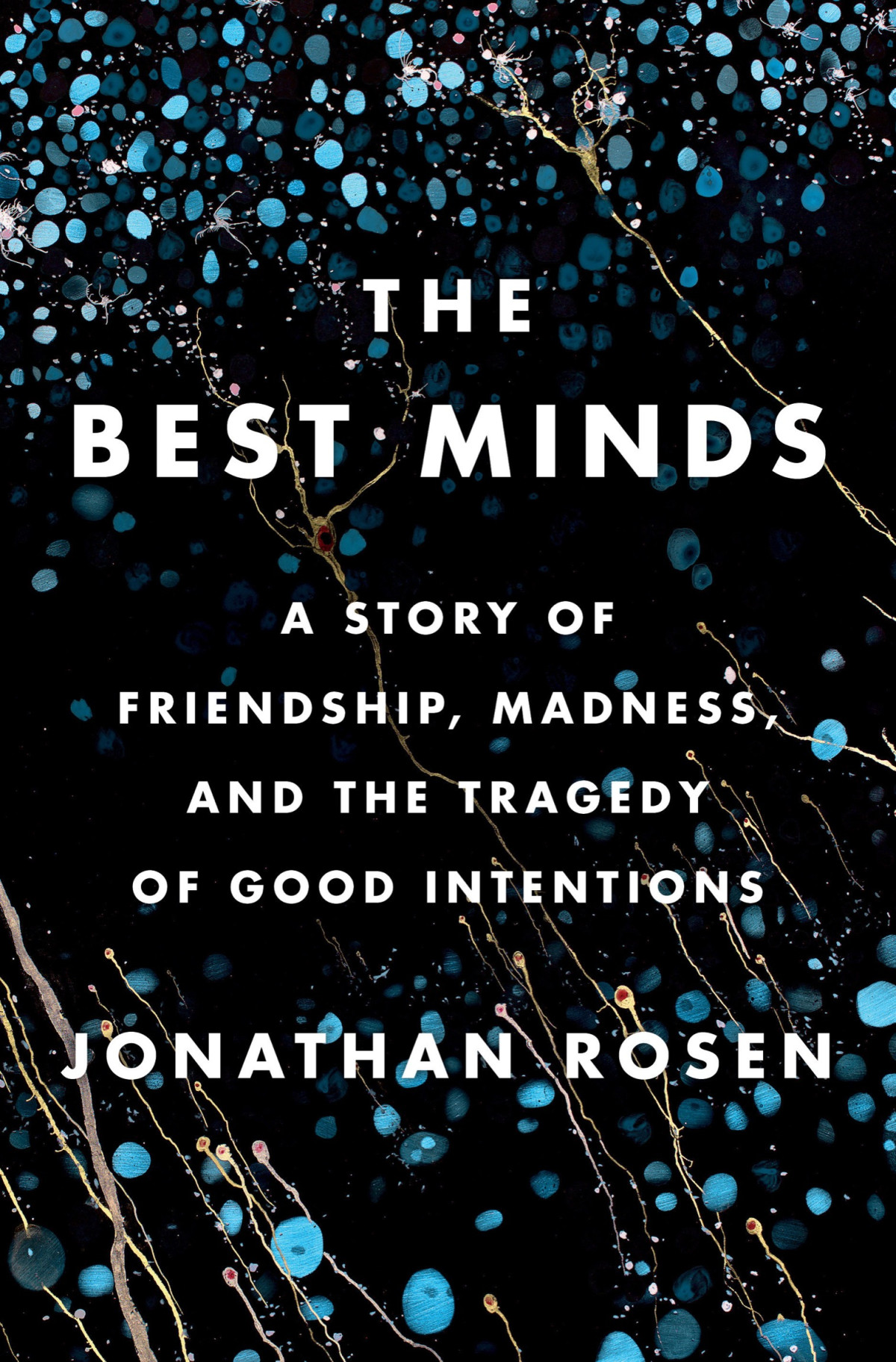 The Best Minds Jonathan Rosen