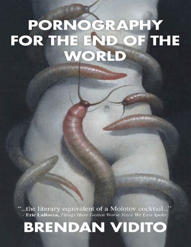 Pornography For The End Of The World Brendan Vidito