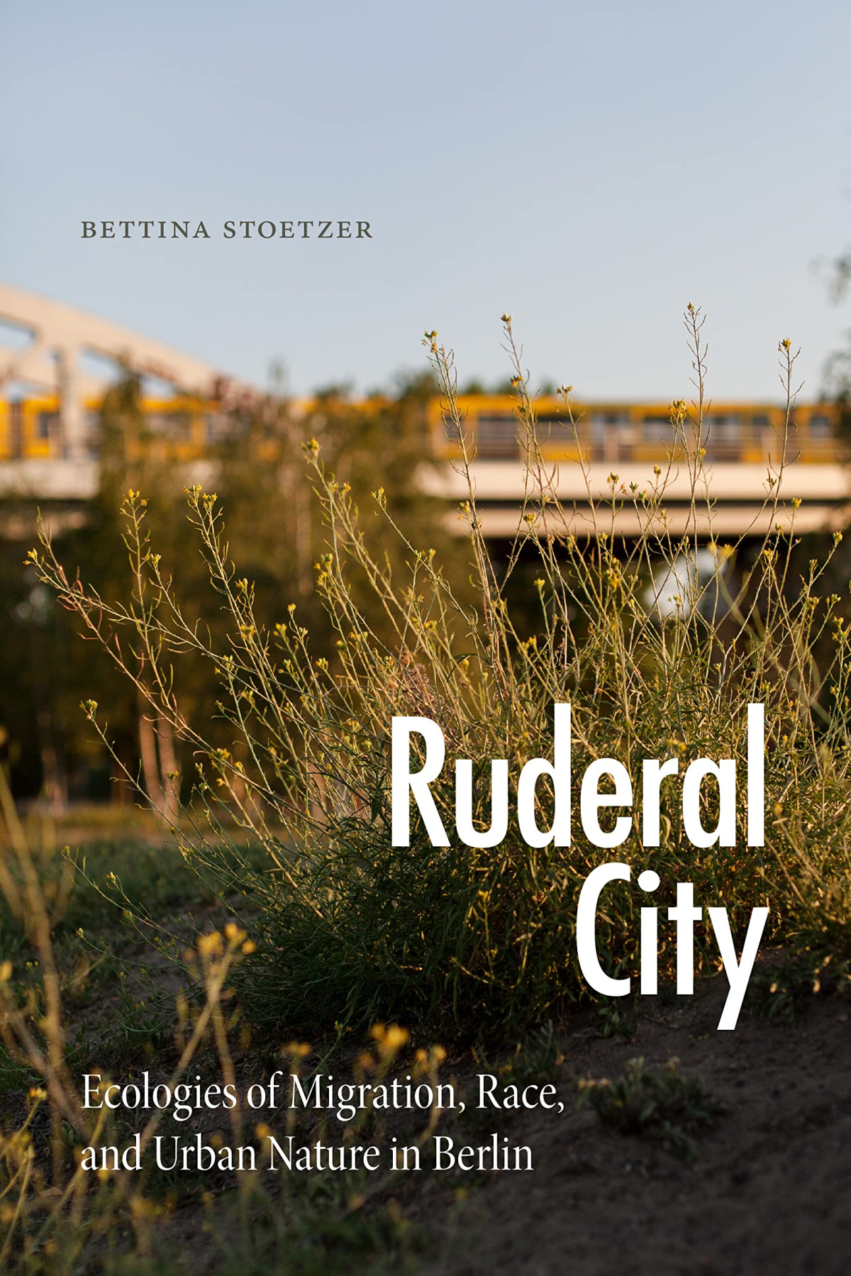 Ruderal City Ecologies Of Migration Race And Urban Nature In Berlin Bettina Stoetzer
