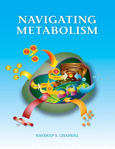 Navigating Metabolism Illustrated Navdeep Chandel