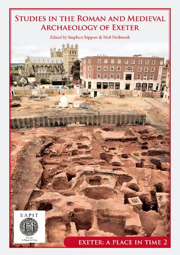 Studies In The Roman And Medieval Archaeology Of Exeter Stephen Rippon