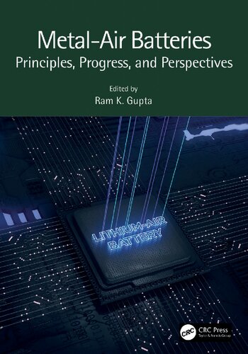 Metalair Batteries Principles Progress And Perspectives Gupta Rk Ed