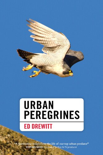 Urban Peregrines 1st Edition Ed Drewitt