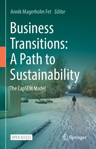 Business Transitions A Path To Sustainability The Capsem Model Annik Magerholm Fet