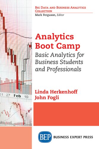 Analytics Boot Camp Basic Analytics For Business Students And Professionals 1st Edition Linda Herkenhoff