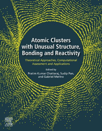 Atomic Clusters With Unusual Structure Bonding And Reactivity Theoretical Approaches Computational Assessment And Applications Pratim Kumar Chattaraj