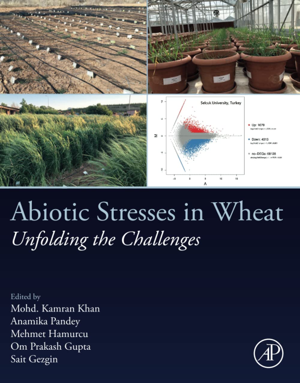 Abiotic Stresses In Wheat Unfolding The Challenges Mohd Kamran Khan